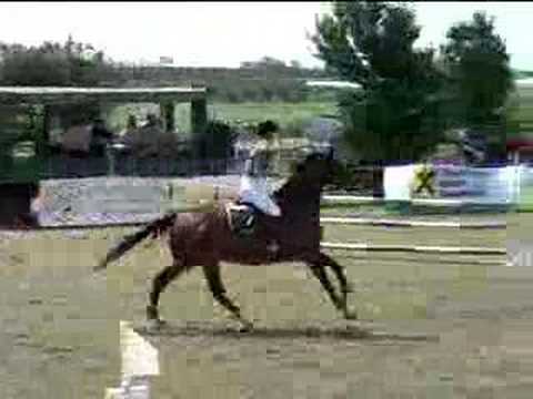 Alexandra Dombi, Springreiten, Reitturnier in Wallern